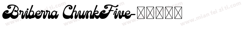 Briberra ChunkFive字体转换